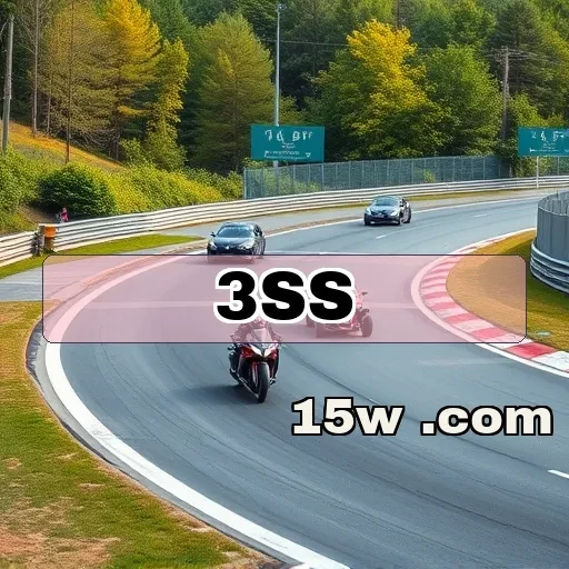 3ss.com: Explore as Melhores Opções de Pagamento para Jogos Online